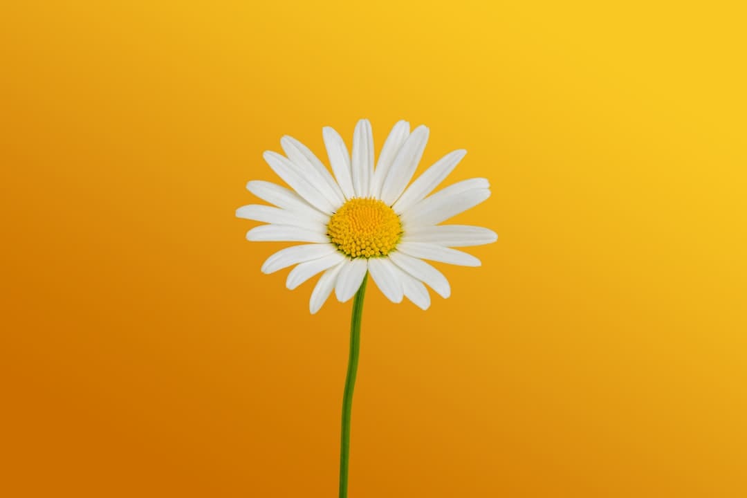北京:学校食堂新标准10月施行,发现异物应立即停止使用和出售